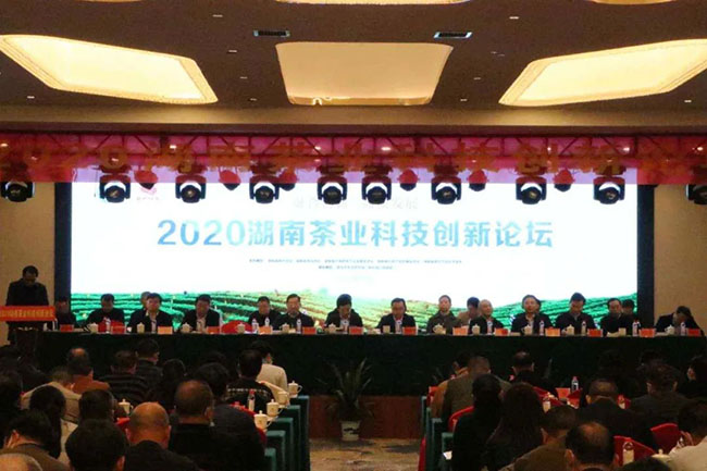 茶訊 | 2020湖南茶業(yè)科技創(chuàng)新論壇隆重召開(kāi)——蕭力爭(zhēng)當(dāng)選湖南省茶葉學(xué)會(huì)新一屆理事長(zhǎng)