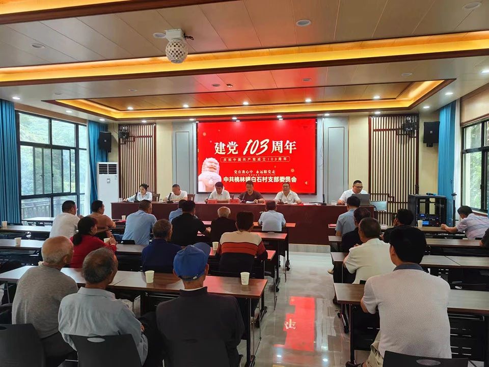 圖片 || 慶祝建黨103周年主題活動掠影