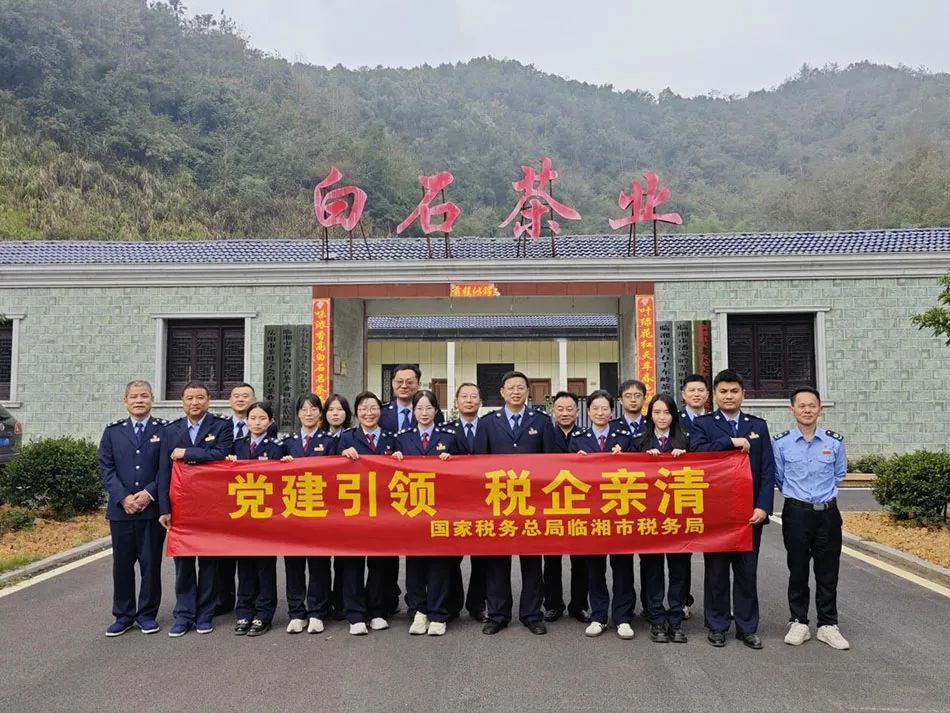 白石茶園之秋 魅力盡展