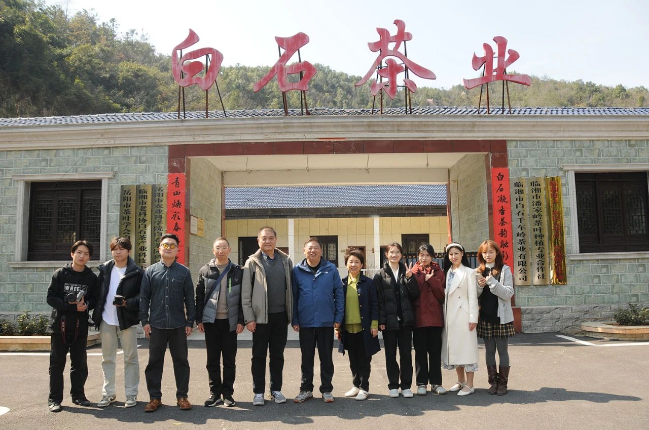 技能逐夢(mèng)展風(fēng)采 茶香漫卷繪新篇—— 岳陽(yáng)現(xiàn)代服務(wù)職業(yè)學(xué)院師生以鏡頭書寫臨湘白石茶故事