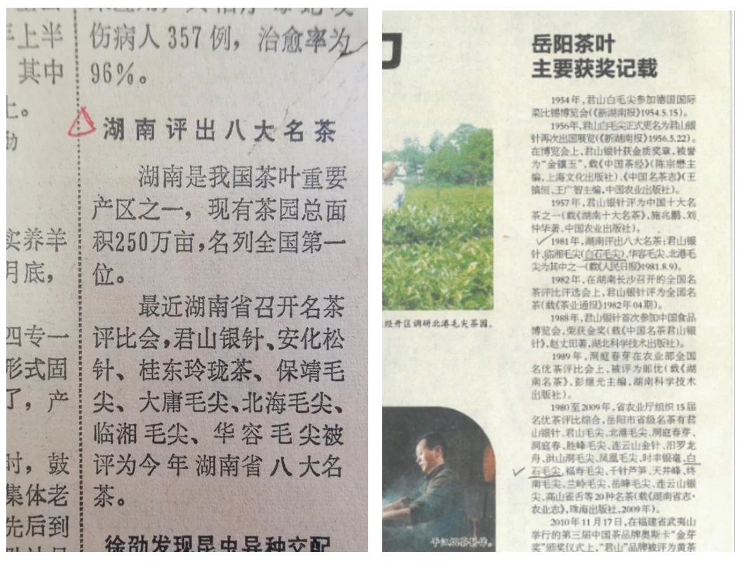 細(xì)數(shù)白石毛尖的眾多榮譽(yù)?